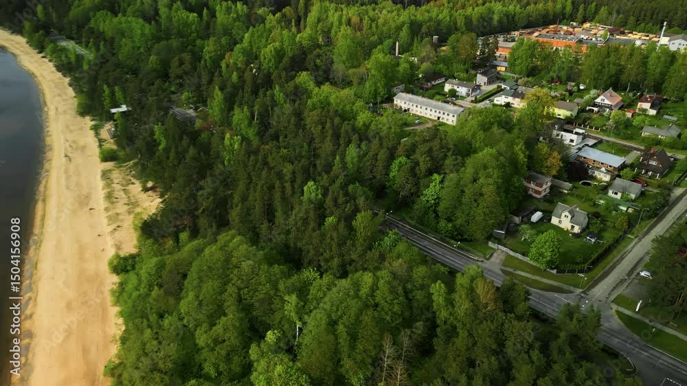 custom made wallpaper toronto digitalAerial Footage Captures the Lush Green Forest as it Beautifully Meets a Serene and Picturesque Shoreline Nearby