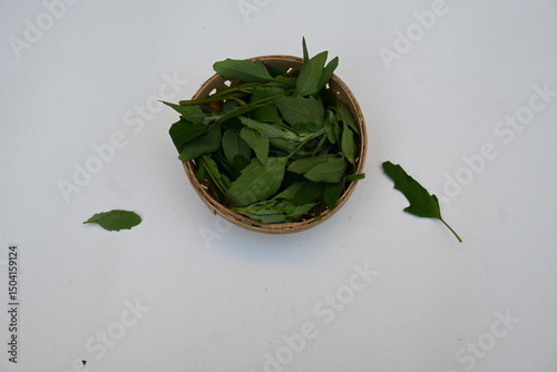 Chenopodium album on white background. It  is a fast growing weedy annual plant in the genus Chenopodium. Its other names  lamb's quarters, melde, goosefoot, wild spinach and fat-hen. popular greens.