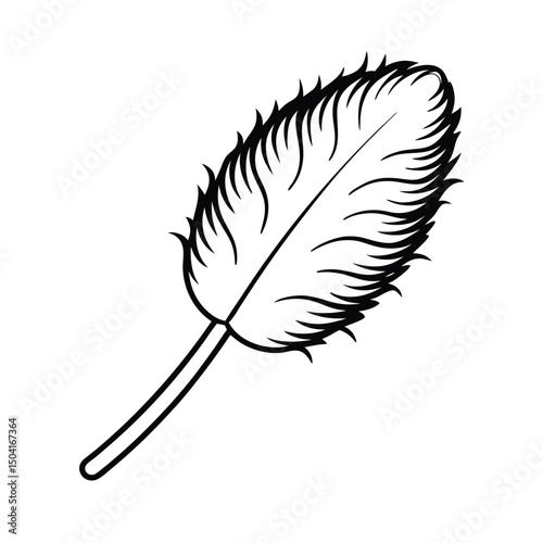 Fluffy Feather Texture Overlay