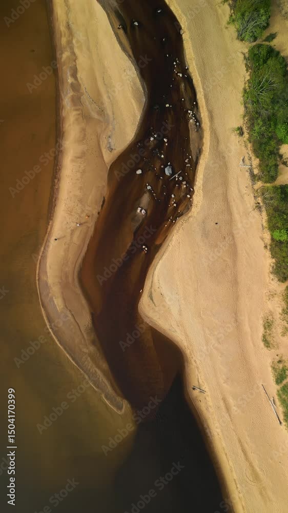 custom made wallpaper toronto digitalA Serene Aerial View Capturing the Beauty of a Meandering River Flowing Gently with Sandy Banks Nearby