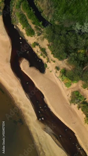 Wallpaper Mural Experience a breathtaking aerial view showcasing a meandering river and the surrounding lush landscape Torontodigital.ca