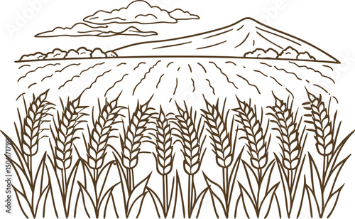Harvest scene wheat field and mountain landscape with clouds