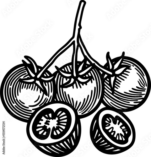 black and white illustration of ripe tomatoes on a vine, whole and sliced vintage botanical art