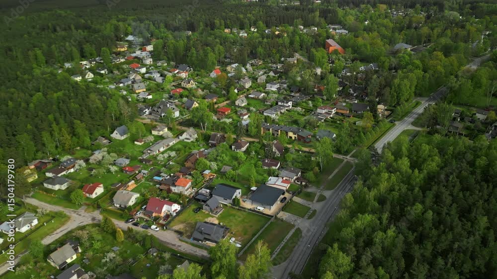 custom made wallpaper toronto digitalCaptivating Aerial Footage Showcasing a Serene Suburban Neighborhood Nestled Amidst Lush Greenery All Around