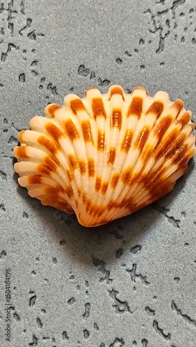 Podobny obraz