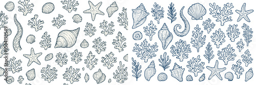 Ocean-inspired hand-drawn design featuring shells, corals, and starfish in intricate detail and elegant patterns