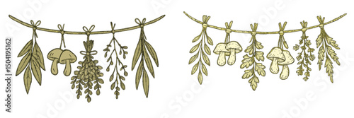 Hanging herbs and mushrooms displayed in a rustic arrangement with natural tones on a twine string