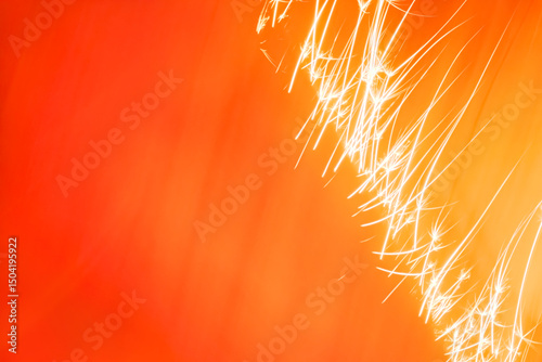 Sparklers on a orange background. Bright fire sparks on a orange background. 