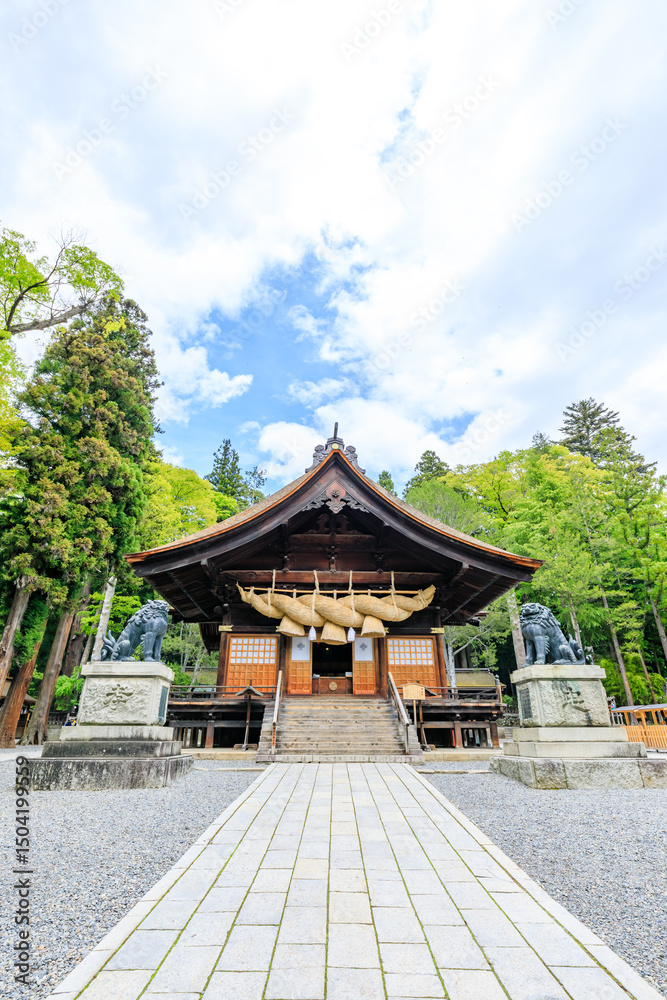 Fototapeta premium 初夏の諏訪大社 下社 秋宮 長野県諏訪郡 Suwa Taisha Shrine in early summer. Shimosha. Akimiya. Nagano Pref, Suwa District.