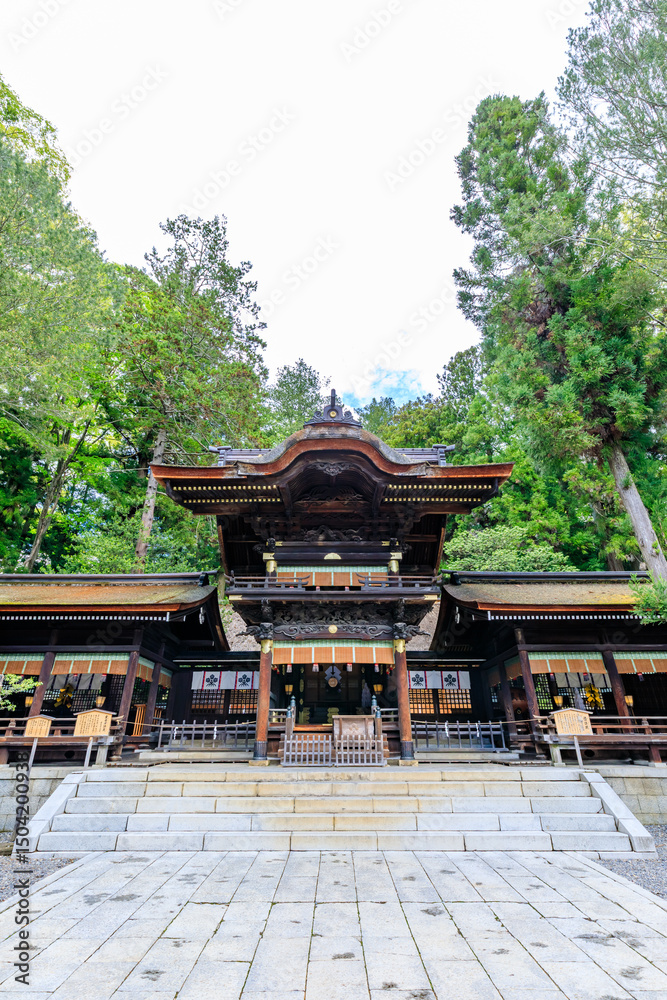 Naklejka premium 初夏の諏訪大社 下社 秋宮 長野県諏訪郡 Suwa Taisha Shrine in early summer. Shimosha. Akimiya. Nagano Pref, Suwa District.