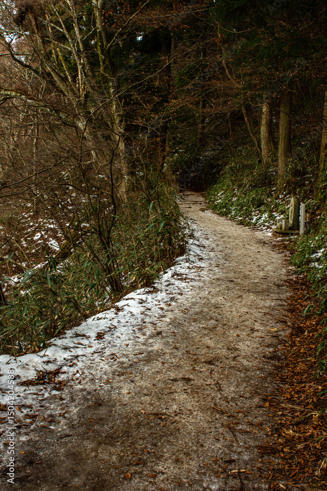 Fototapeta premium 奈良県御所市高天の金剛山登山道に残る冬の凍結残雪風景―森林に囲まれた雪道の美しさを表現し、安全注意やアウトドアハイキングシーンを想起させる 