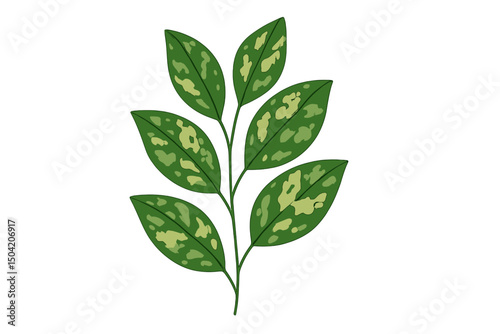 Green leaves with unique patterns on a white background suitable for botanical studies and nature illustrations