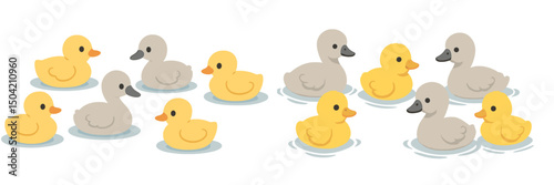 Colorful ducks swim in a pond on a sunny day showcasing their playful interactions and different hues