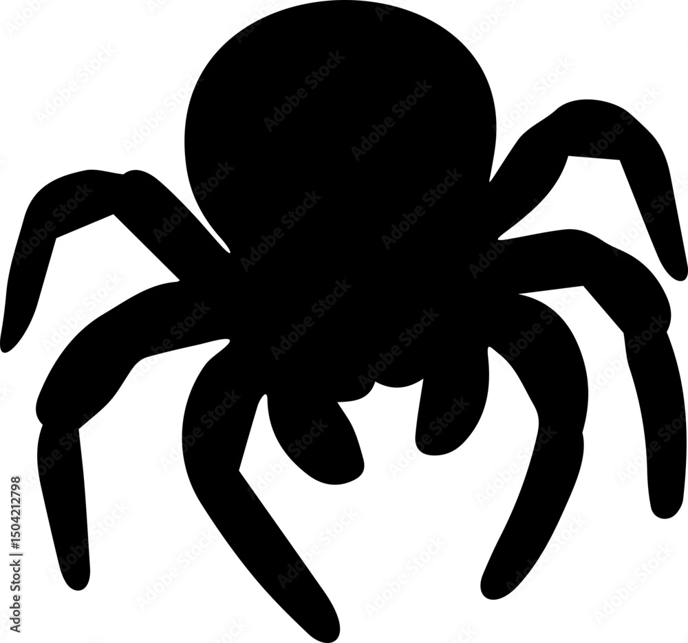spider black and white 