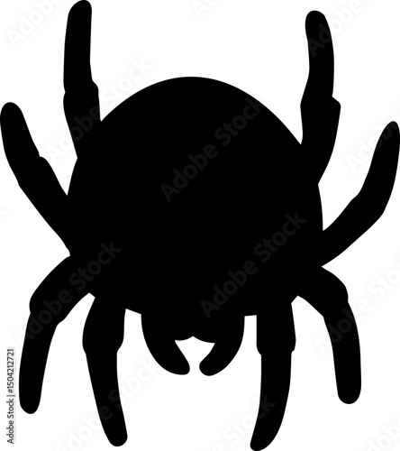 spider mini icon vector image 