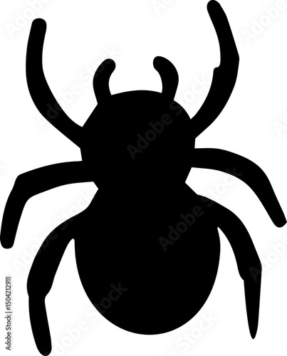 spider black and white 