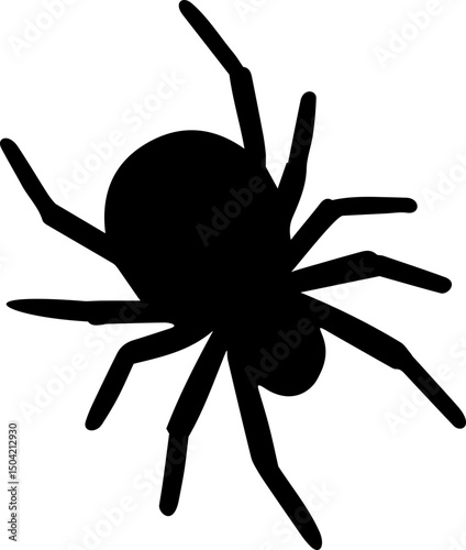 black and white spider icon transparent background