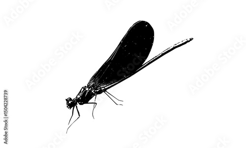 The dragonfly with a black silhouette concept looks elegant and mysterious, emphasizing the shape of its wings and body firmly against a contrasting background.