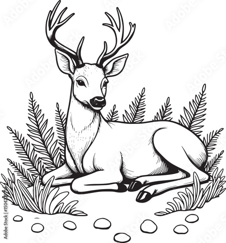 Adorable cartoon deer resting in forest scene surrounded by ferns and rocks for children's coloring book page

