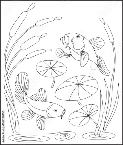 Beautiful koi fishes playing on water vector outline illustration for kids coloring book design
