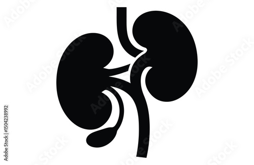 Kidney glyph symbol black vector silhouette


