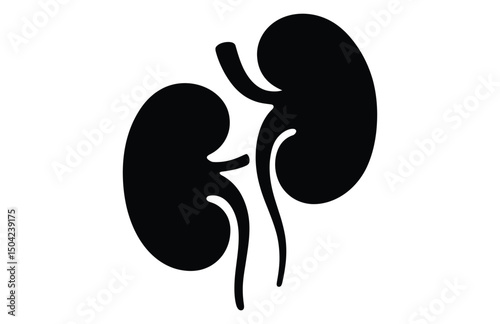 Kidney glyph related black silhouette vector icon

