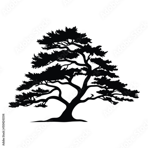 Cedar Tree silhouette vector art, icon, and graphic