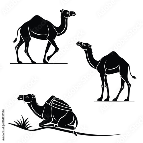 camels in the desert