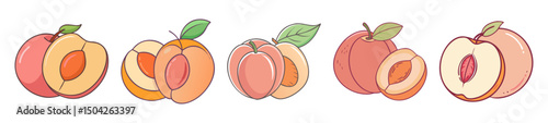 nectarine fruit icon, nectarine fruit line art - simple line art of nectarine fruit, perfect for nectarine fruit logos and icons