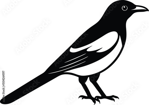 magpie bird silhouette vector illustration