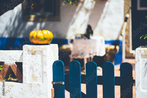 Wallpaper Mural Bright yellow pumpkin on a weathered white pillar next to a blue wooden gate, with a sunlit patio and blurred outdoor furniture in the background, offering copy space area Torontodigital.ca