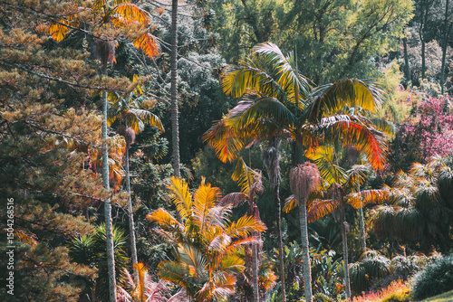 Enchanted forest in Sintra with vibrant autumn foliage, twisted tree branches, and lush ferns bathed in warm sunlight, creating a magical and colorful woodland scene photo