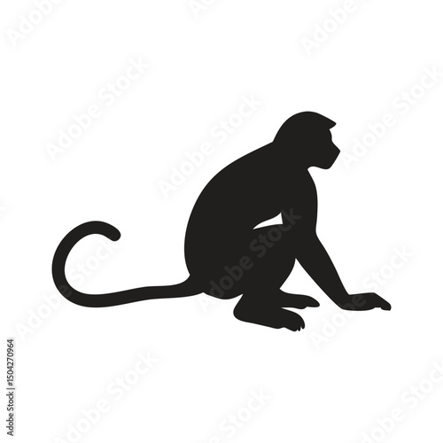 Monkey sitting pose silhouette on white background