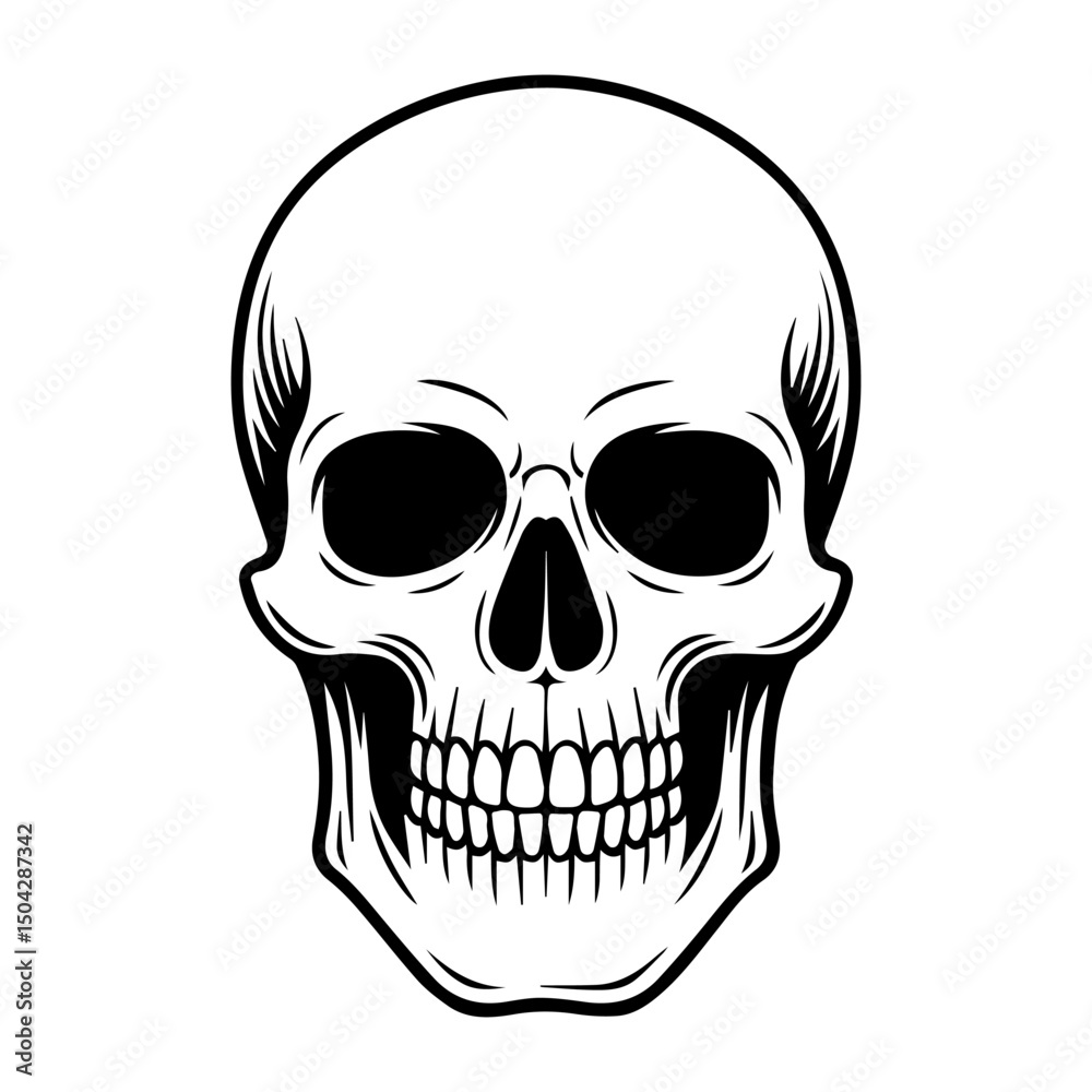 Fototapeta premium Hand drawn skull. Sketch isolated vector.