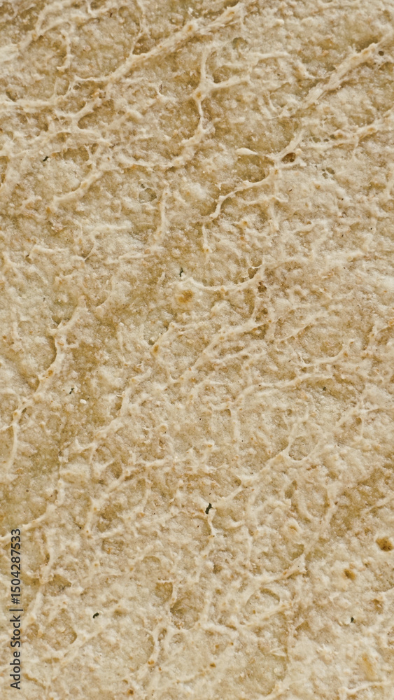 Texture of circle pita. Close up Texture of circle pita. Close up