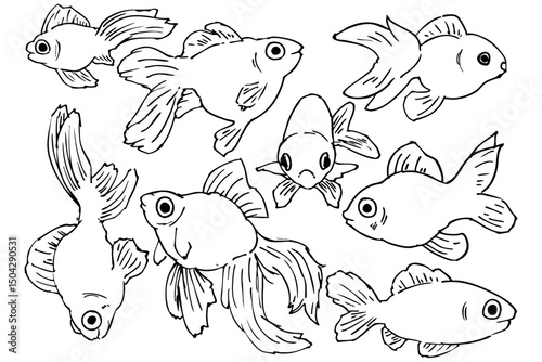 手描きの金魚の線画のイラスト素材　ベクター