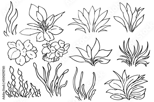 シンプルな水草のイラストの線画素材　ベクター