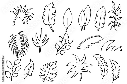 手書きの木の葉や草のボタニカル線画のイラスト　ベクター