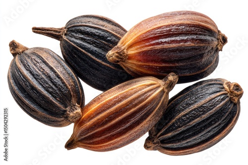 Wallpaper Mural Close-up of five dried, dark-brown seeds, showing ribbed texture and varying shades of brown and black.  The seeds are oval-shaped and appear slightly clustered Torontodigital.ca