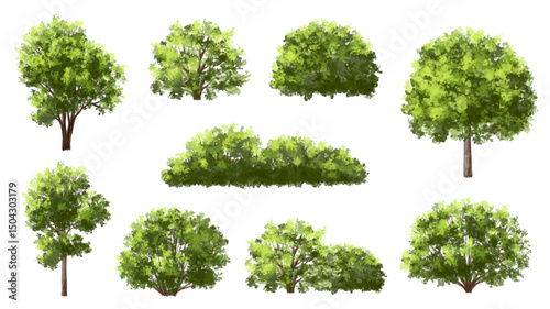 Vertor set of green tree,plants side view for landscape elevations,element for backdrop,eco environment concept design,watercolor greenery scene,shrub