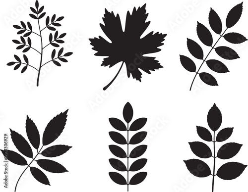 Black silhouettes of various leaves and branches