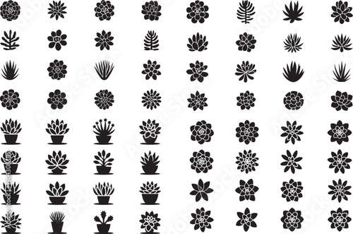 Succulent Plant Icon Set Minimalist Designs for Desert Flora and Botanical Illustrations