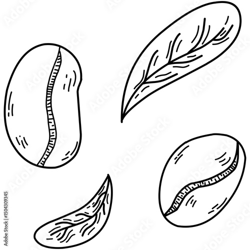 Hand-drawn vector illustration featuring two coffee beans and two coffee leaves in a clean black and white line art style. This minimalist doodle design is perfect for coffee packaging, café branding
