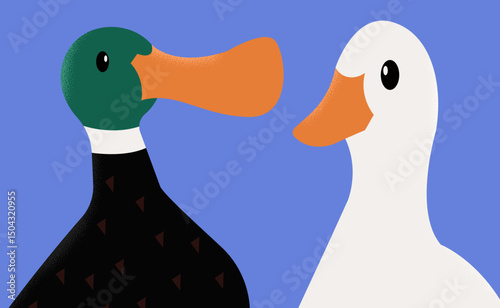 duck and ducklings
