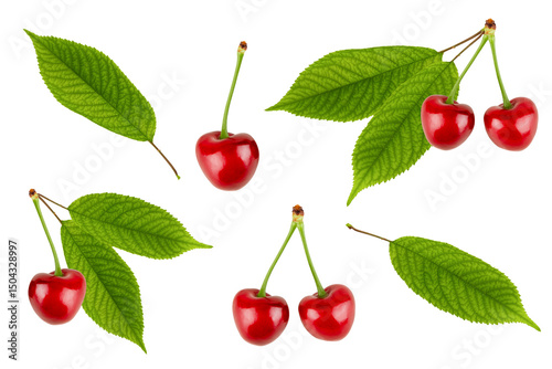 set of cherry with leaves isolated