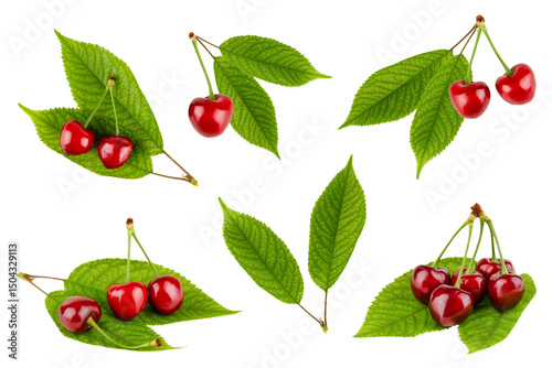 set of cherry with leaves isolated
