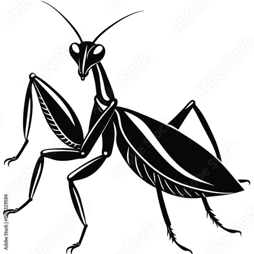 silhouette of praying mantis poised in hunting stance