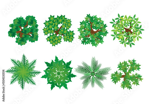 Lush green treetop canopy vector illustration