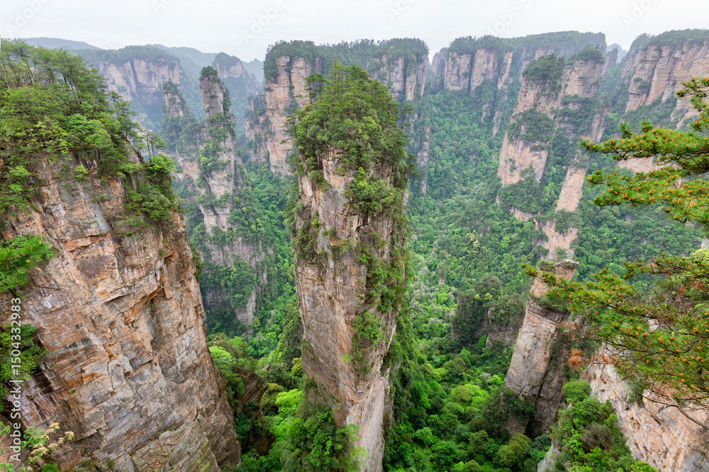 Fototapeta premium Zhangjiajie national forest park in hunan province
