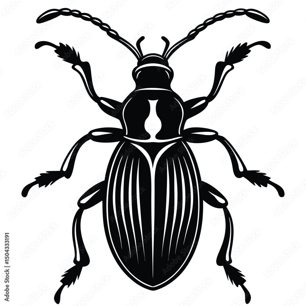 silhouette of weevil with long snout and small body silhouette of weevil with long snout and small body